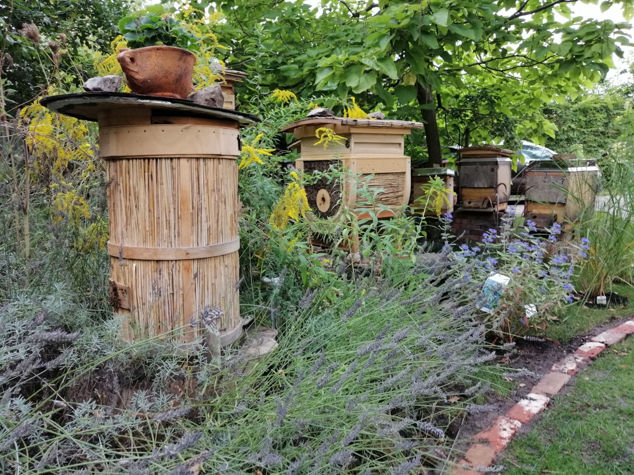 Unser Bienenparadies